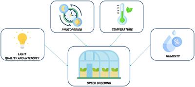 Genomics-assisted speed breeding for crop improvement: present and future